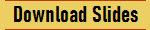 Download Slides
