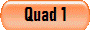 Quad 1